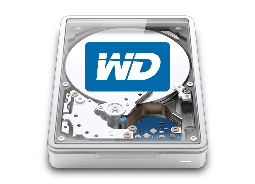 WD Firmware File